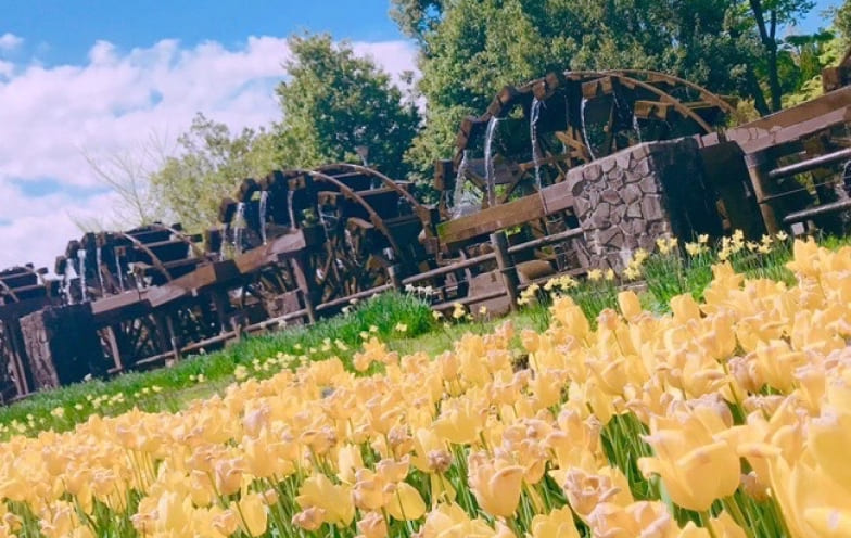 社員インタビュー R.Mさん プライベート写真2