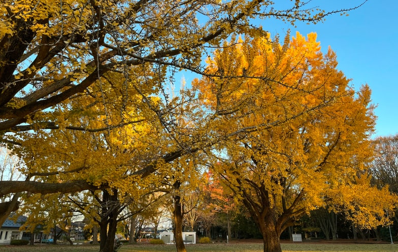 社員インタビュー A.Sさん プライベート写真1