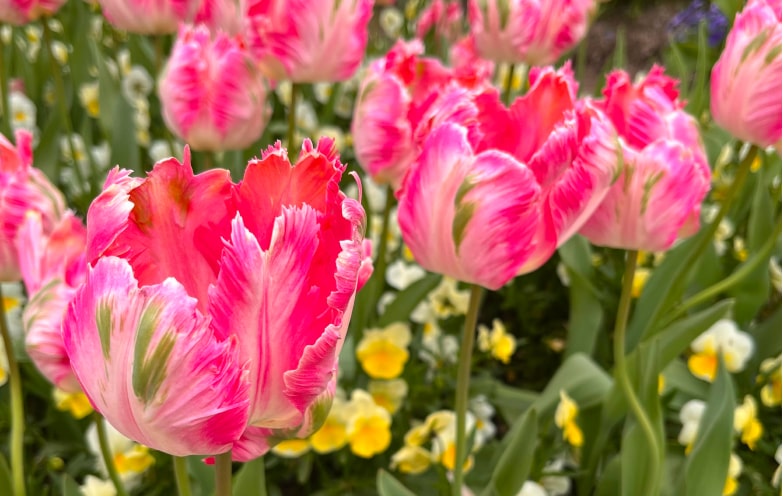 社員インタビュー A.Sさん プライベート写真2