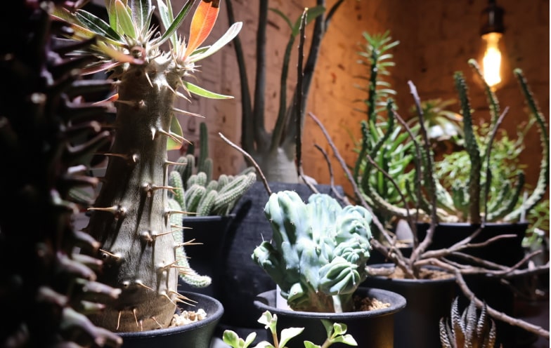 社員インタビュー K.Tさん プライベート写真2