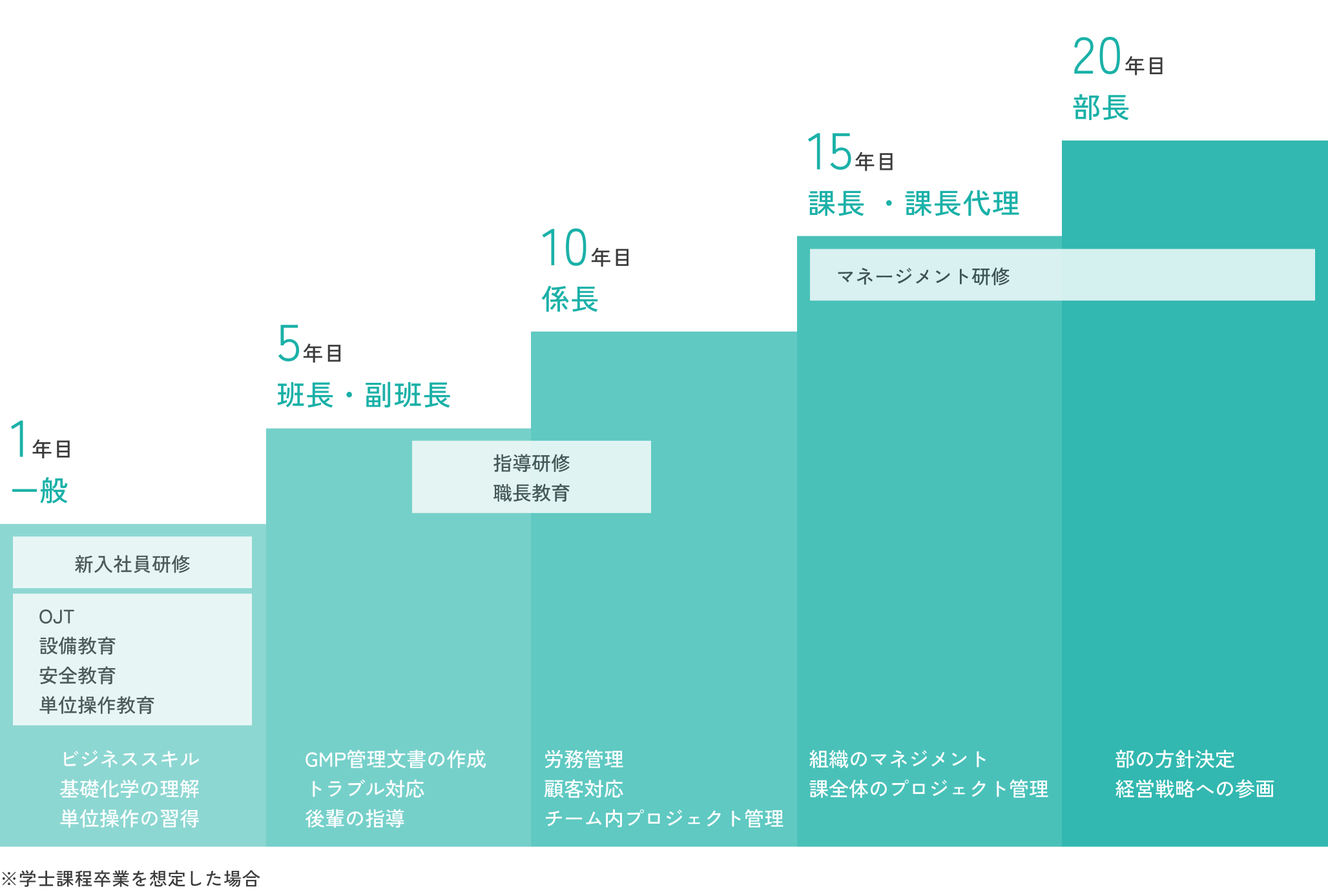 製造総合職のキャリアパス イメージ