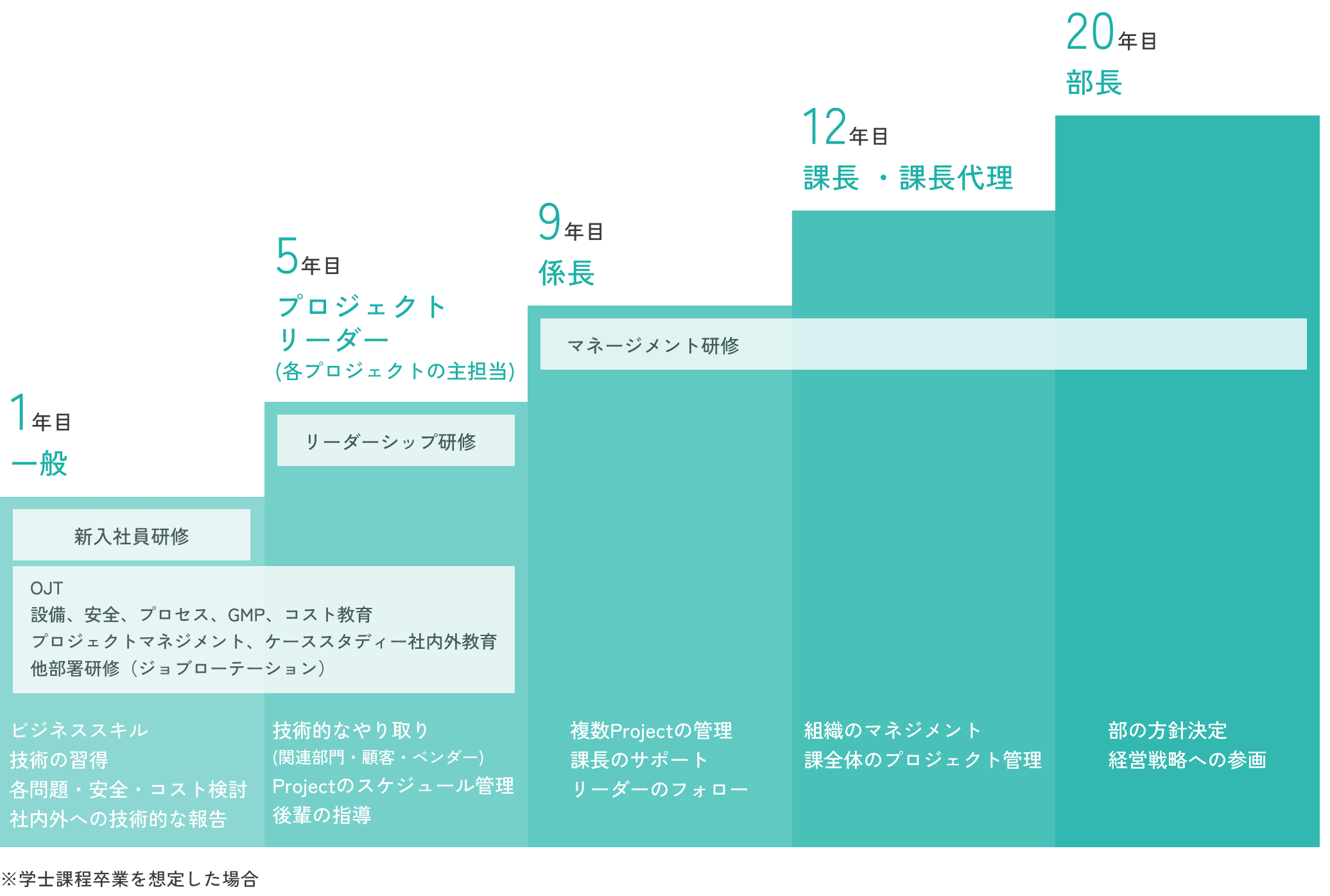 製造総合職のキャリアパス イメージ