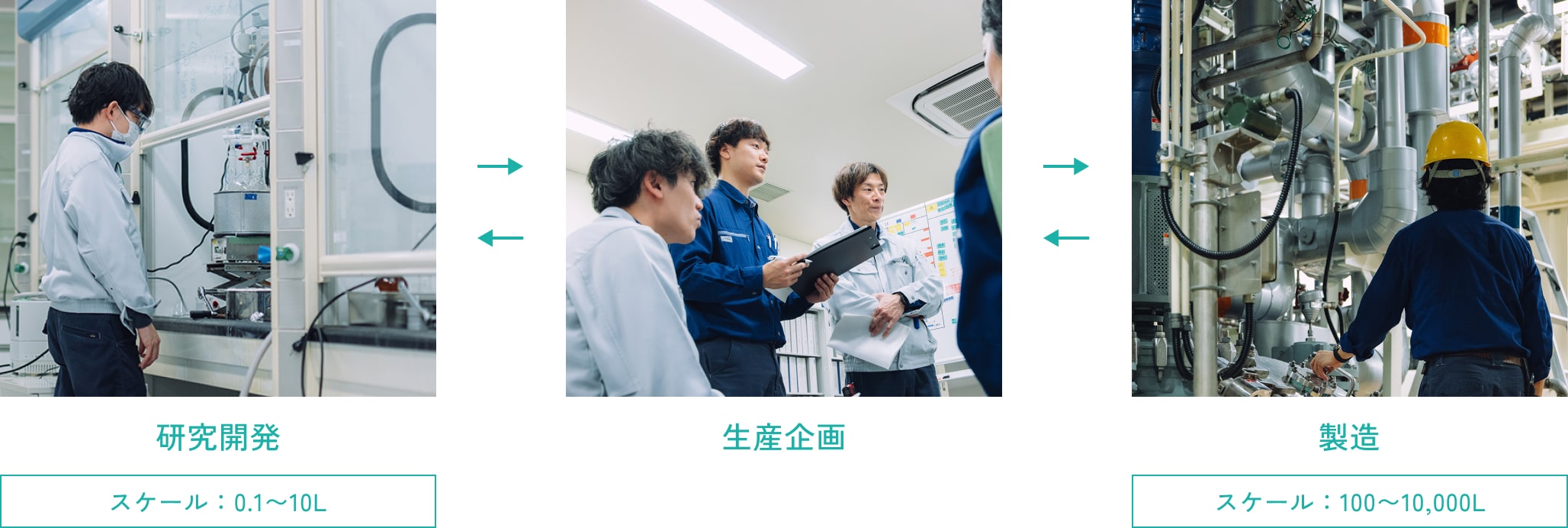 研究開発[スケール : 0.1〜10リットル] ↔ 生産企画 ↔ 製造[スケール : 10〜10,000リットル]