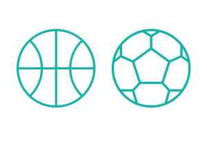 プロスポーツ観戦チケット